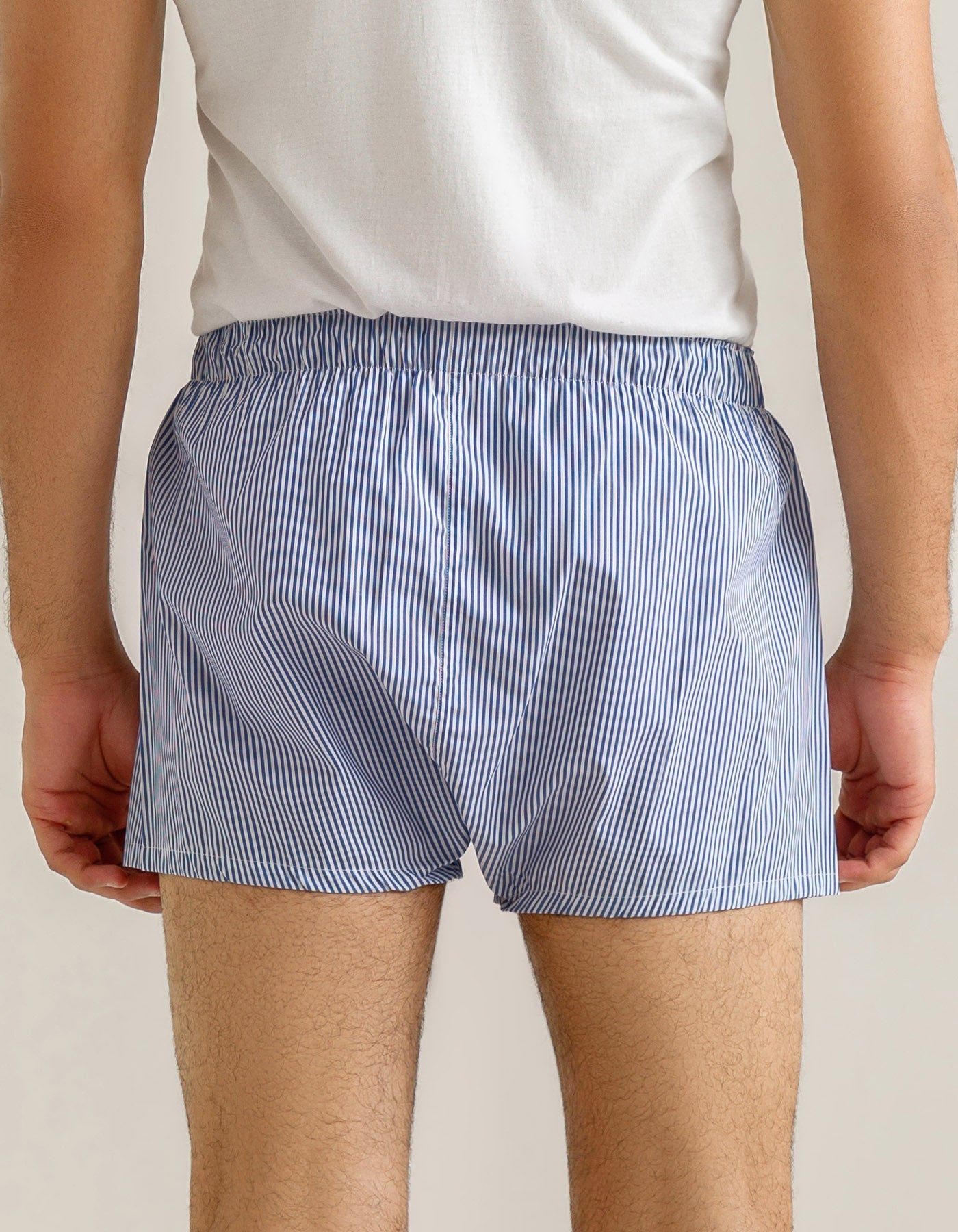 Blue Striped Woven Boxers
